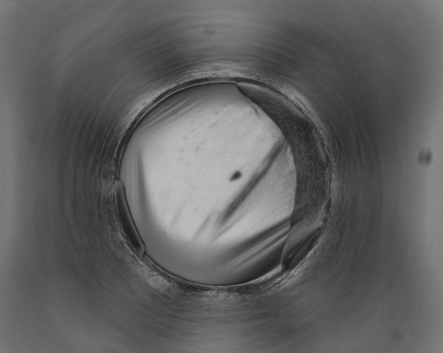 X0000088901081200707061449