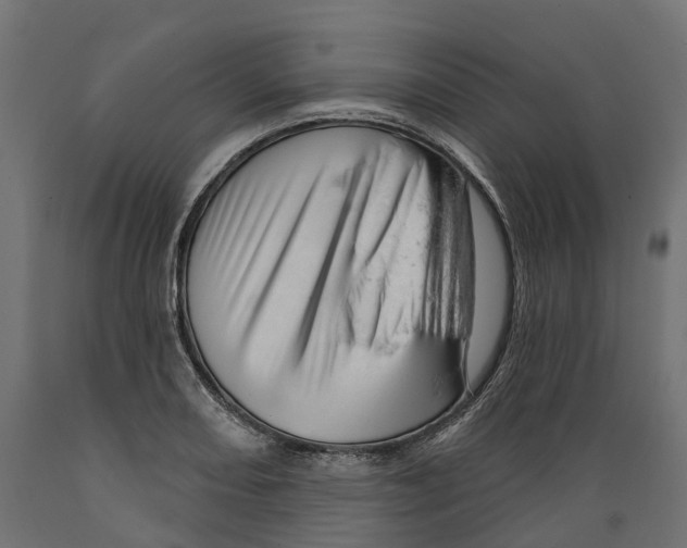 X0000088901082200707061449