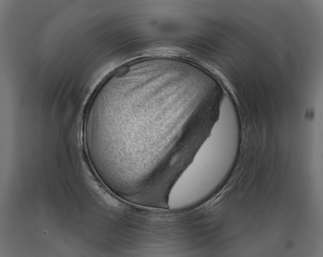 X0000088901083200707061449