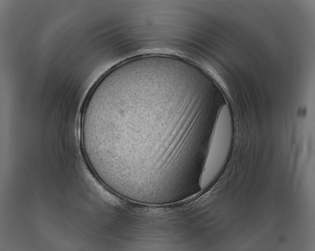 X0000088901084200707061449