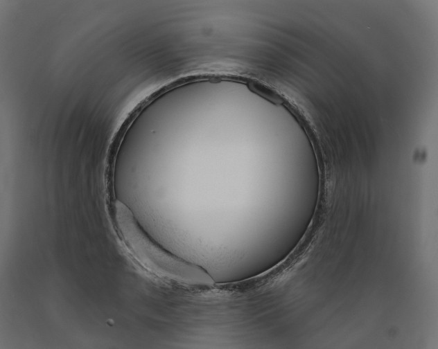 X0000088901085200707061449