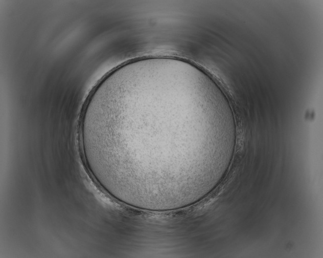 X0000088901086200707061449