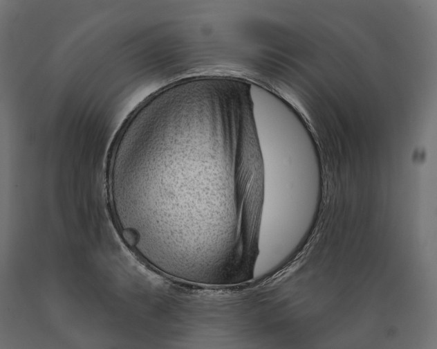 X0000088901087200707061449