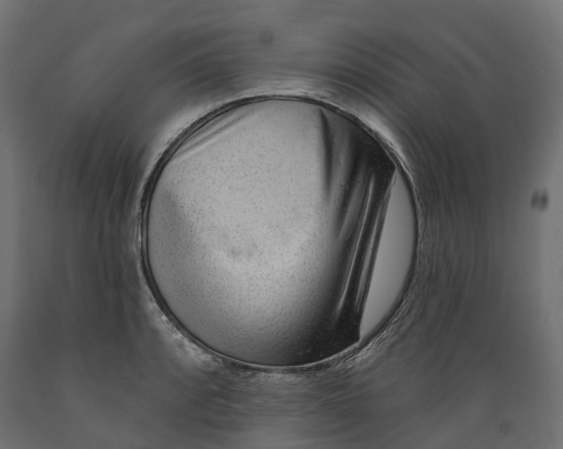 X0000088901088200707061449