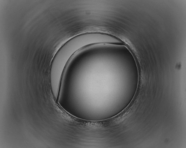 X0000088901089200707061449