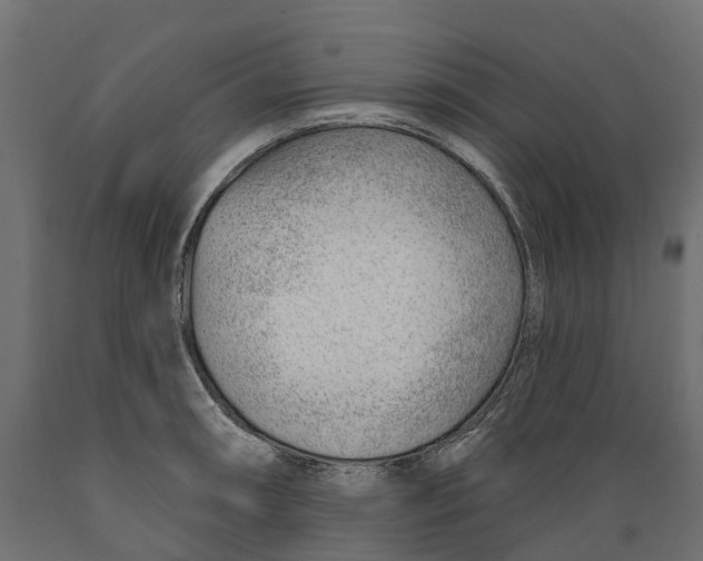 X0000088901090200707061449