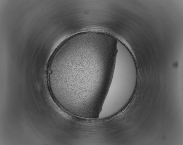 X0000088901091200707061449