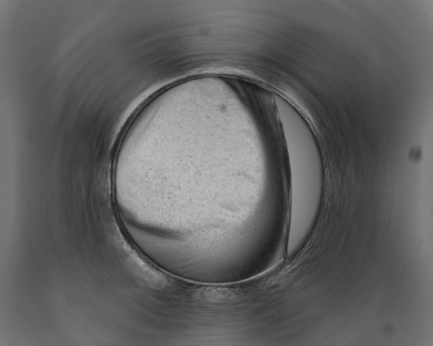 X0000088901092200707061449