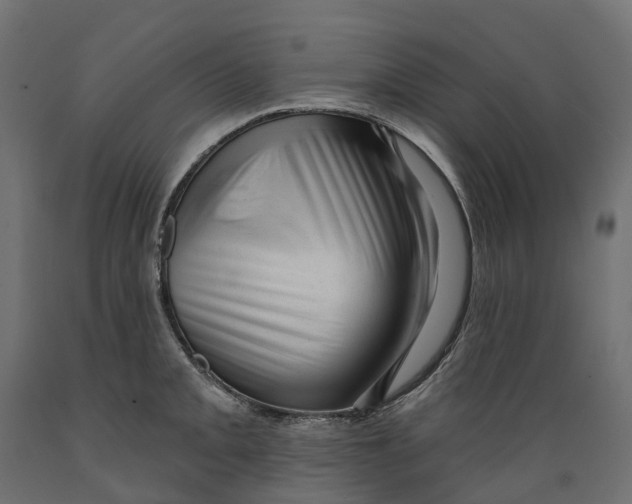 X0000088901093200707061449