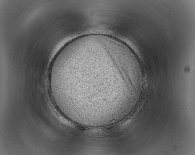 X0000088901094200707061449