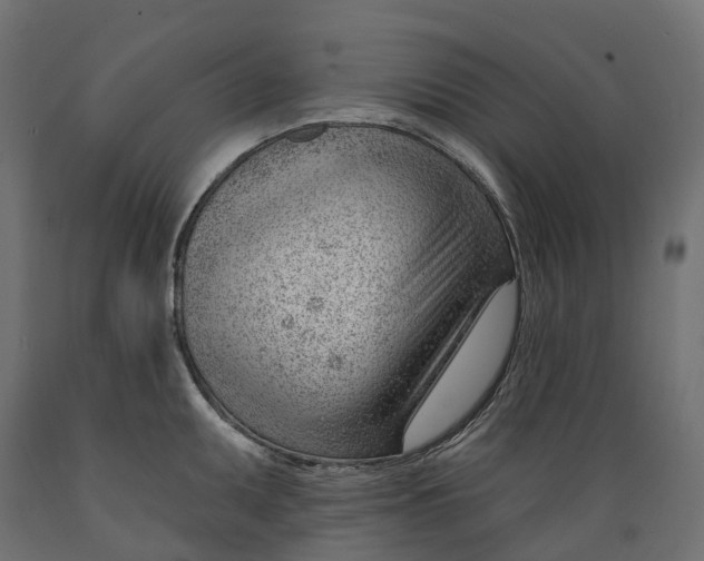 X0000088901095200707061449