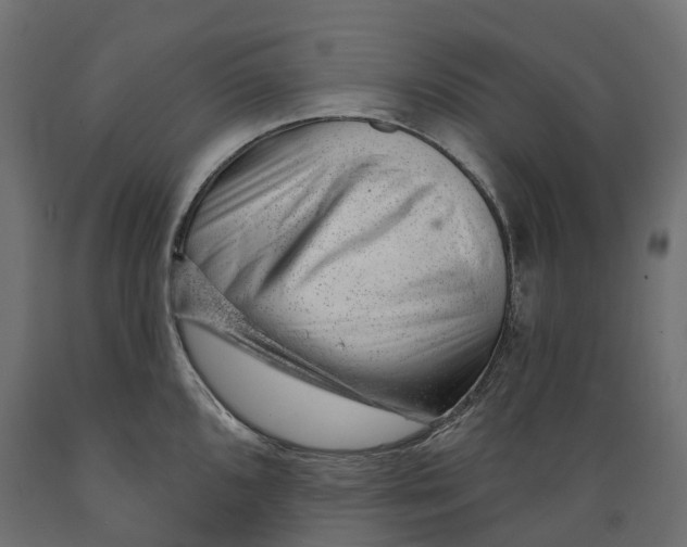 X0000088901096200707061449