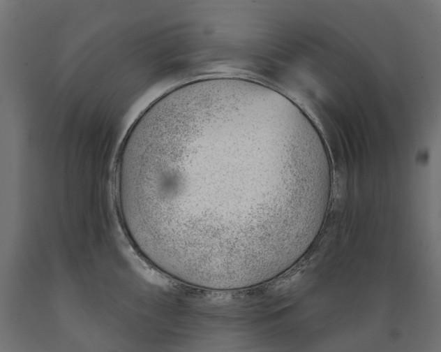 X0000088901098200707061449