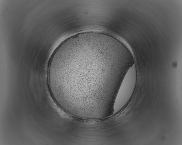 X0000088901099200707061449