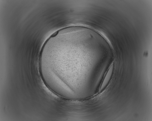 X0000088901100200707061449