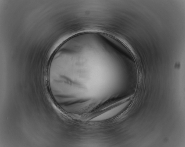 X0000088901101200707061449