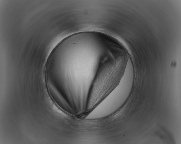 X0000088901102200707061449