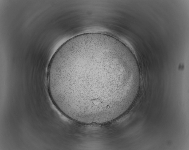 X0000088901103200707061449