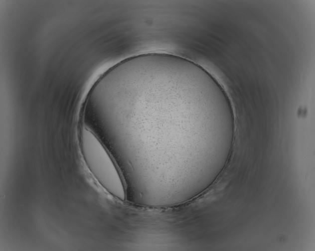 X0000088901104200707061449