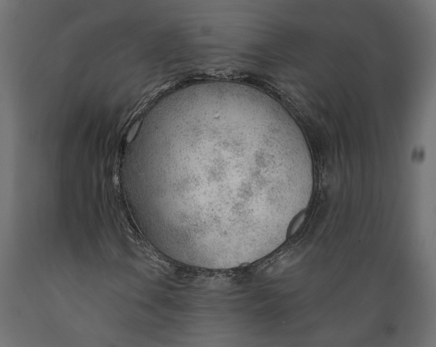 X0000088901106200707061448