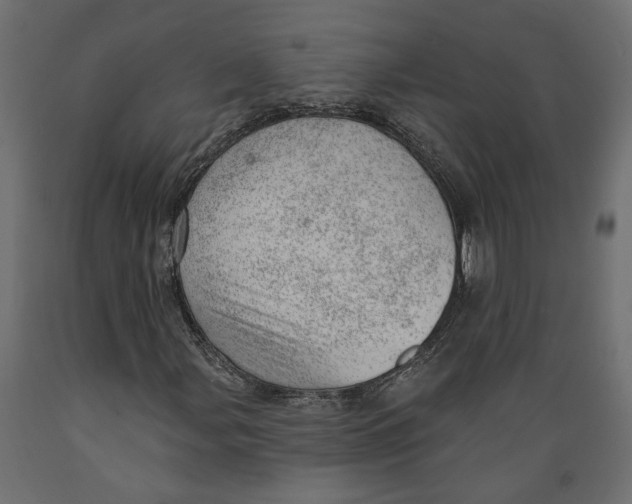 X0000088901107200707061448