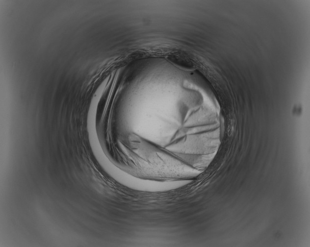 X0000088901108200707061448