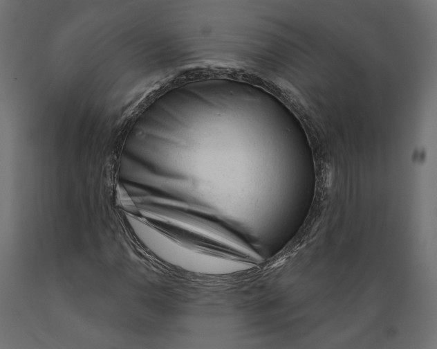 X0000088901110200707061448