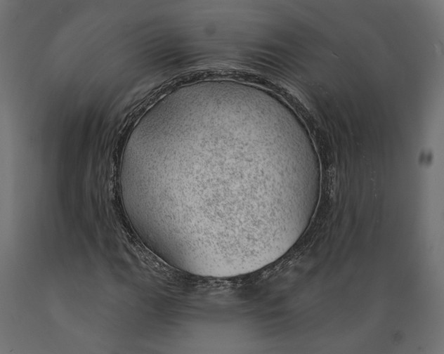 X0000088901111200707061448