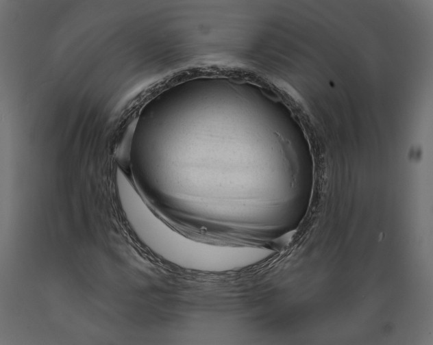 X0000088901112200707061448