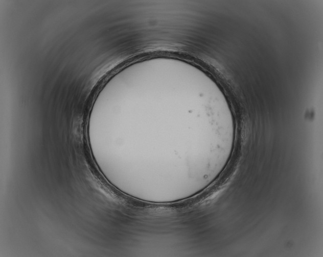 X0000088901113200707061448