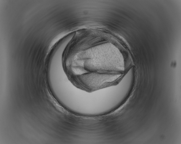 X0000088901114200707061448