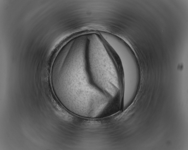 X0000088901115200707061448