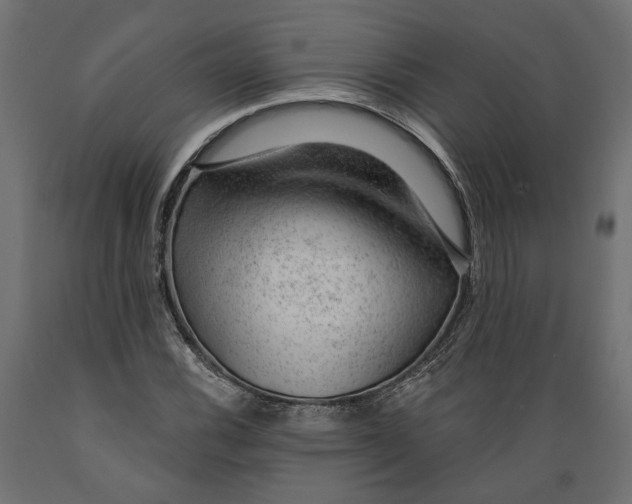 X0000088901116200707061448