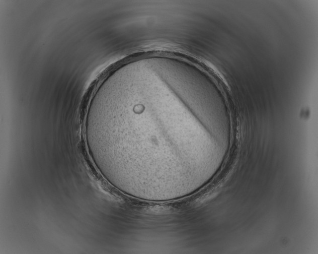 X0000088901117200707061448