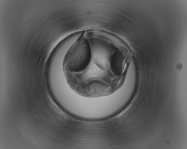 X0000088901118200707061448