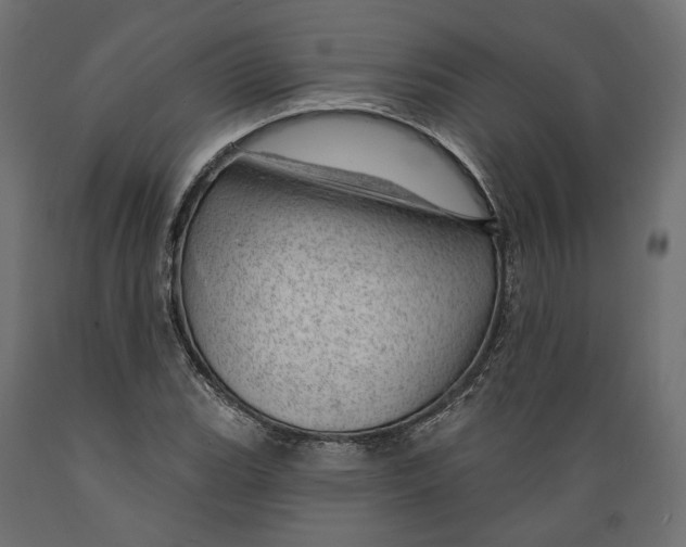 X0000088901119200707061448