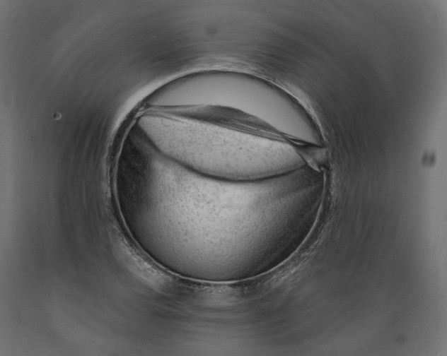 X0000088901120200707061448