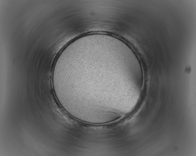 X0000088901121200707061448