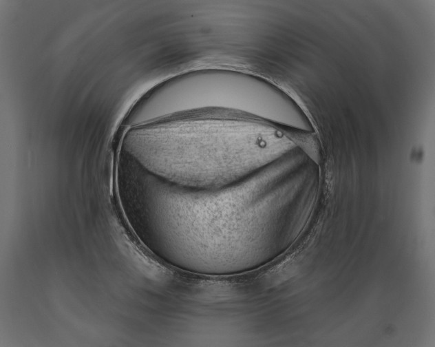 X0000088901123200707061448