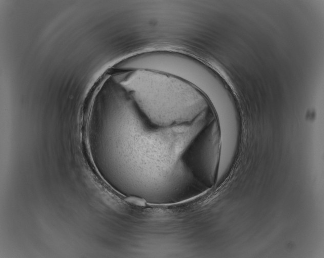 X0000088901124200707061448