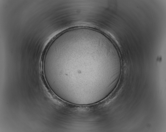 X0000088901125200707061448