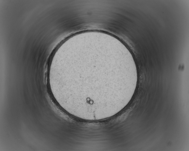 X0000088901126200707061448