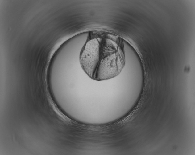 X0000088901128200707061448