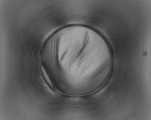 X0000088901129200707061448