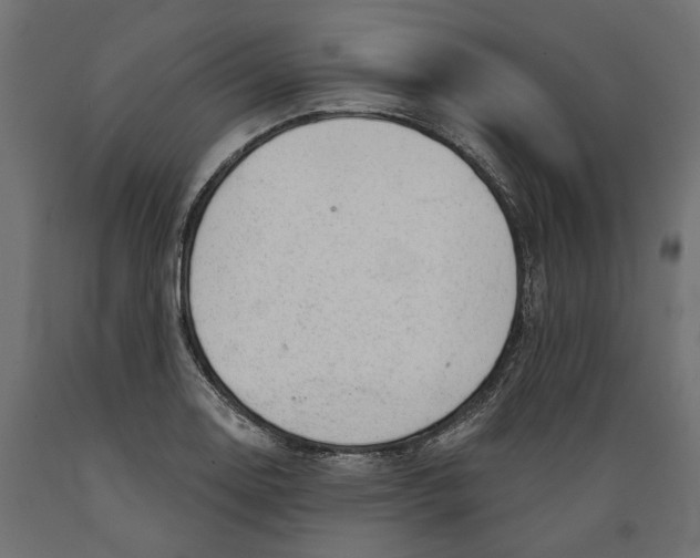 X0000088901130200707061448