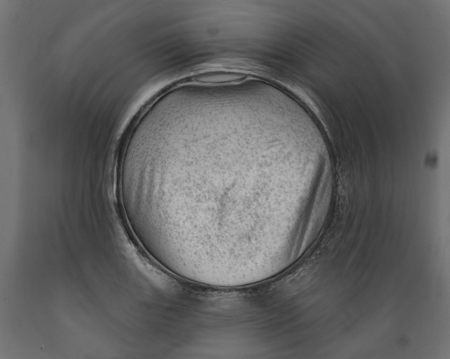 X0000088901131200707061448