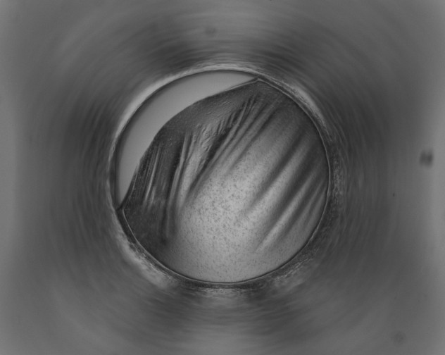 X0000088901132200707061448