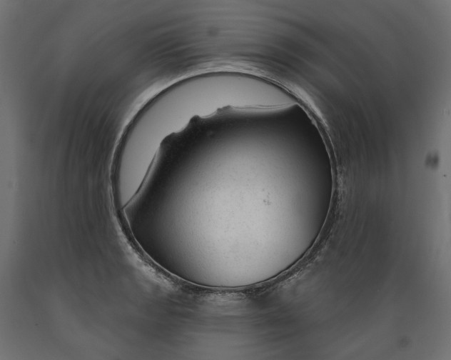 X0000088901133200707061448