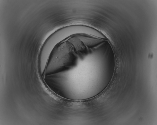 X0000088901134200707061448