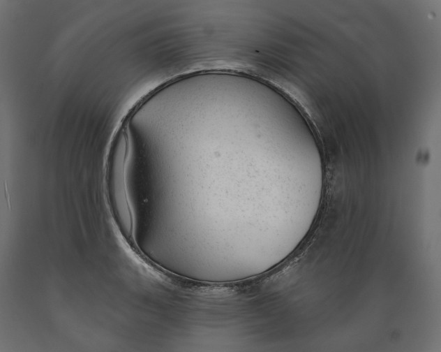 X0000088901135200707061448